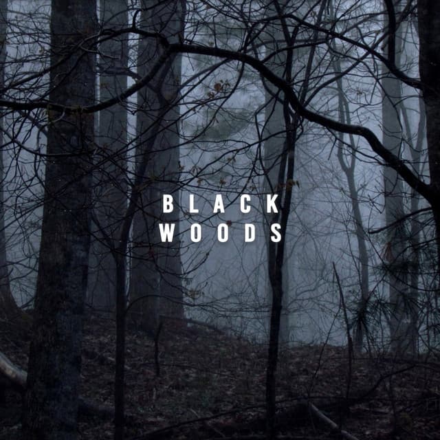 Black Woods - Rain Sounds & Nature Sounds