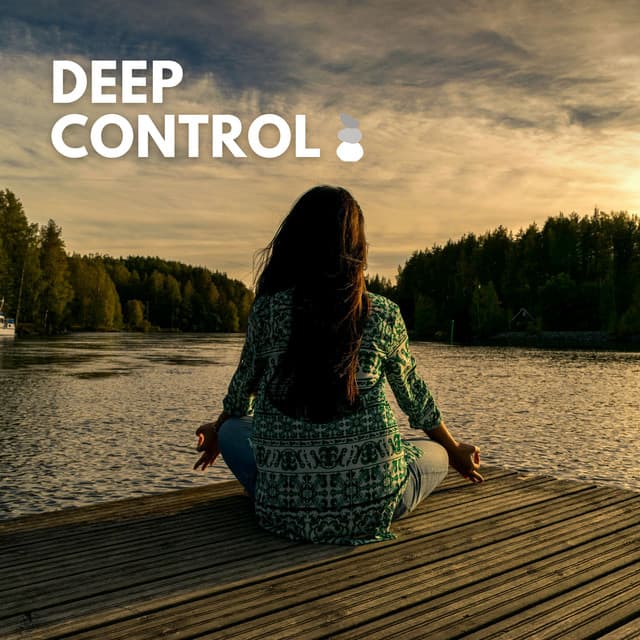 Deep Control - Zarobi
