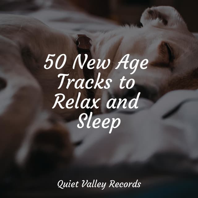 50 New Age Tracks to Relax and Sleep - Baby Relax Music Collection