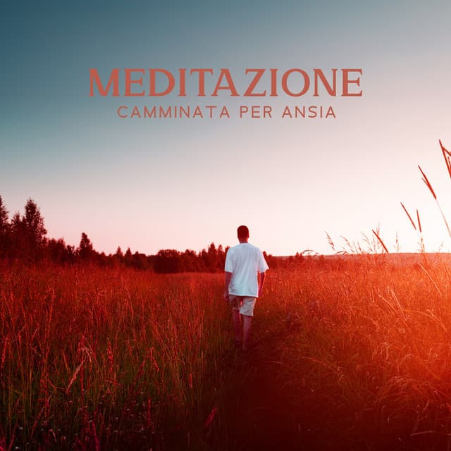 Meditazione camminata per ansia: Suoni armonici dell'acqua, Movimento e momento presente - Santuario dei suoni della natura