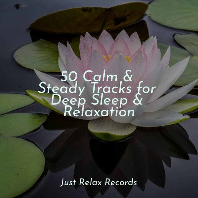 50 Calm & Steady Tracks for Deep Sleep & Relaxation - Thunderstorm Sound Bank