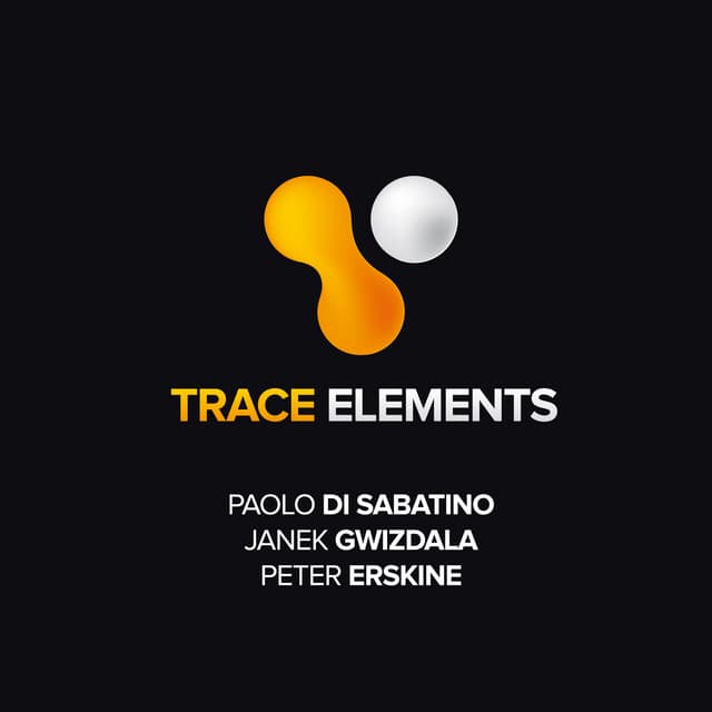 Trace Elements - Paolo Di Sabatino