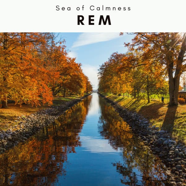 4 REM - Sea of Calmness