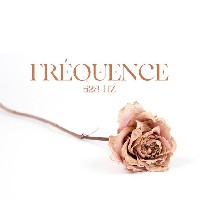 Fréquence 528 Hz: Méditation d'amour et de bienveillance pour l'allaitement, Libération d'hormone ocytocine, Ondes ultra relaxantes, Musique pour s'endormir - Zone de Détente