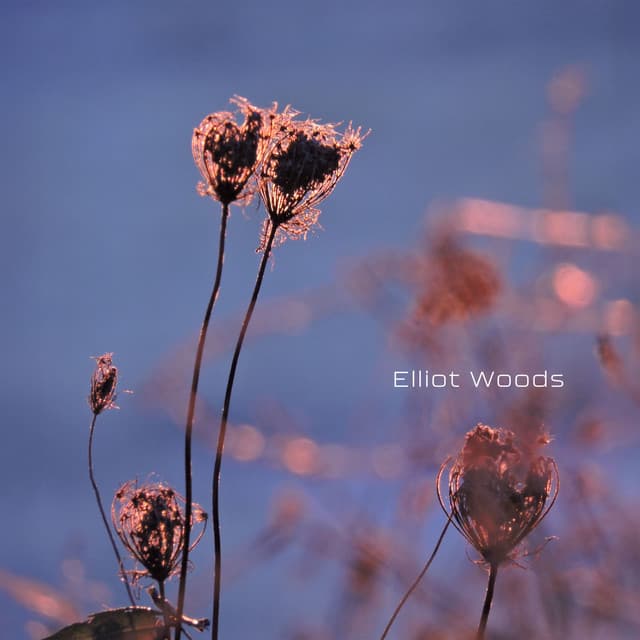 Tracing the Aura Field - Elliot Woods