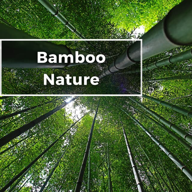 Bamboo Ambience Nature Flute - Nature's Frequencies