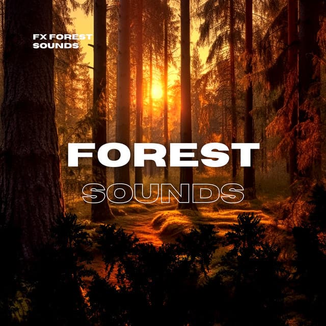 Forest Sounds for Peace of Mind, Deep Relaxing Noises - FX Forest Sounds