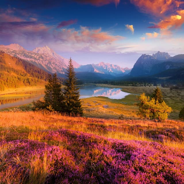 Armonía Revelada: Música Para La Quietud Interior - Naturaleza de Suecia