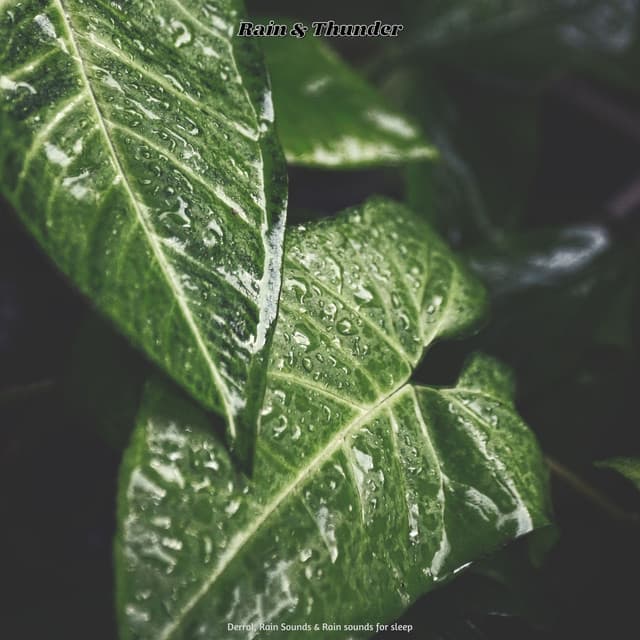 Rain & Thunder - Derrol