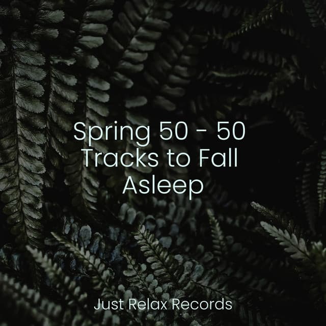 Spring 50 - 50 Tracks to Fall Asleep - Ambient