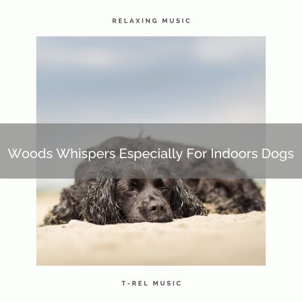 Woods Whispers Especially For Indoors Dogs - Dog Relax