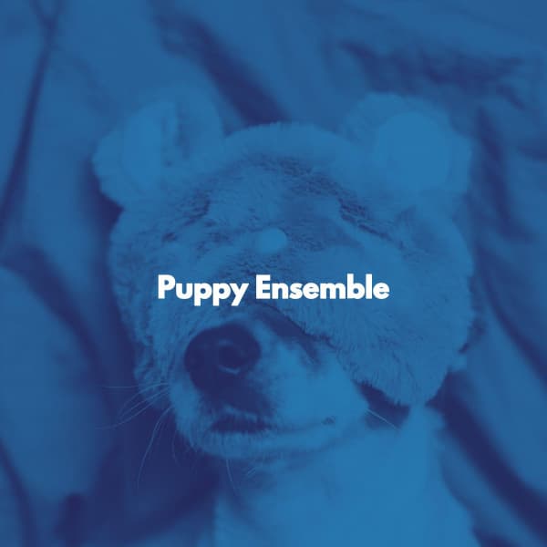 Quiet Jazz Coffee House