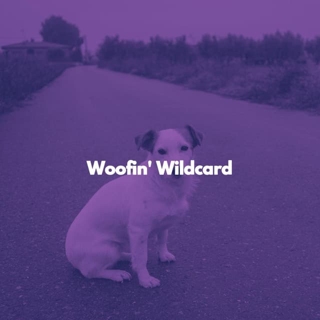 Woofin' Wildcard - Radio de Jazz Suave