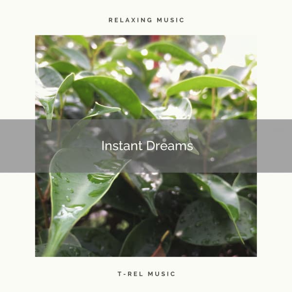 2021 Instant Dreams - The Noise Project