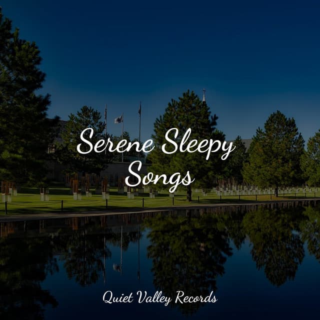 Serene Sleepy Songs - Avslappning Sound