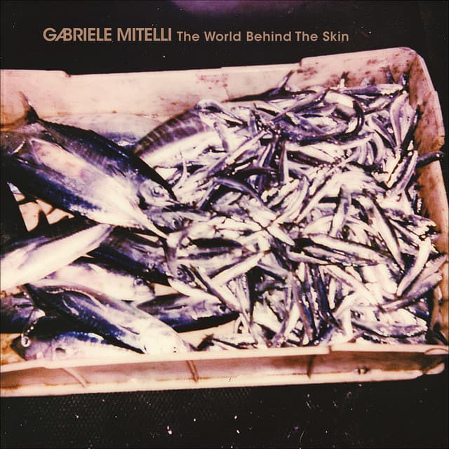 The World Behind the Skin - Gabriele Mitelli