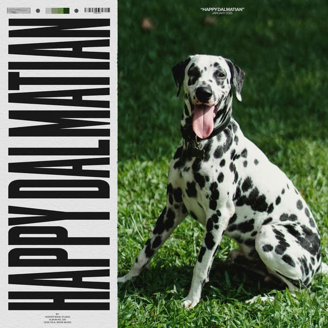 Happy Dalmatian - Pet Therapy