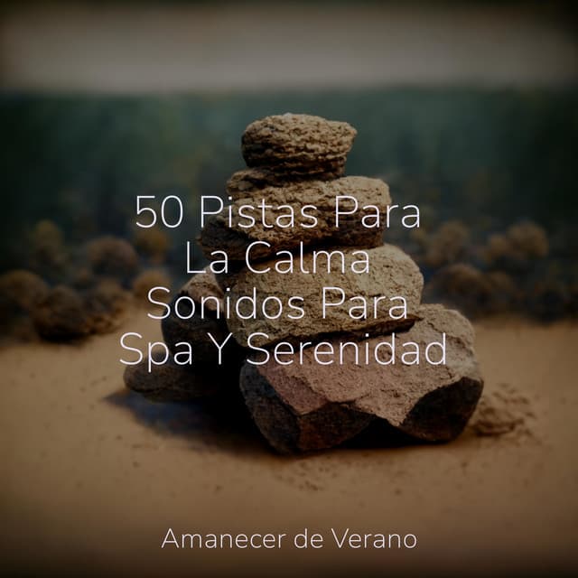 50 Pistas Para La Calma Sonidos Para Spa Y Serenidad - Masajes Spas