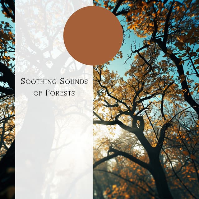 Natural Forest FX