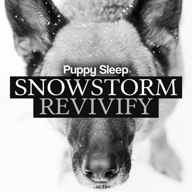 Snowstorm Revivify - Puppy Sleep