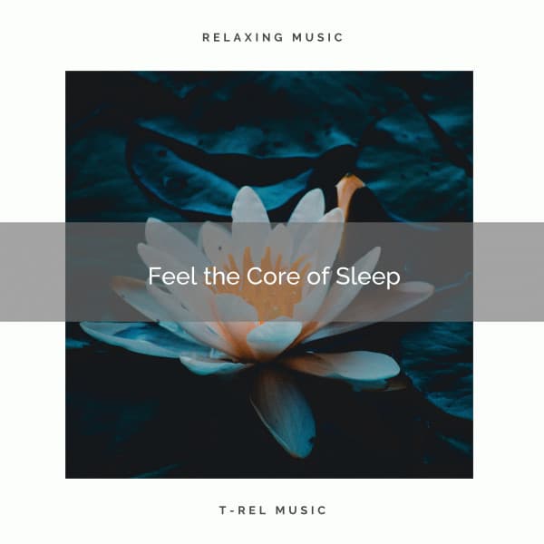 ! ! ! ! ! Feel the Core of Sleep - Sounds of Nature White Noise for Mindfulness Meditation and Relaxation