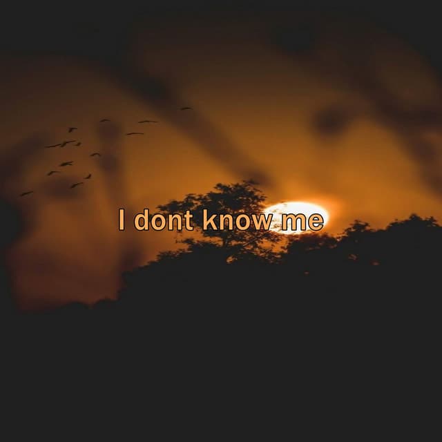 I dont know me - Lofi Hip-Hop Music