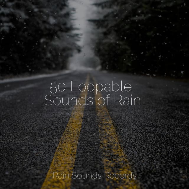 50 Loopable Sounds of Rain - Sons da natureza HD