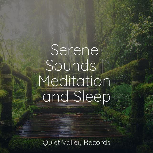 Serene Sounds | Meditation and Sleep - Binaural Creations