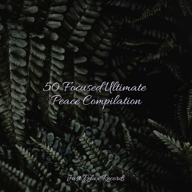 50 Focused Ultimate Peace Compilation - ASMR HD