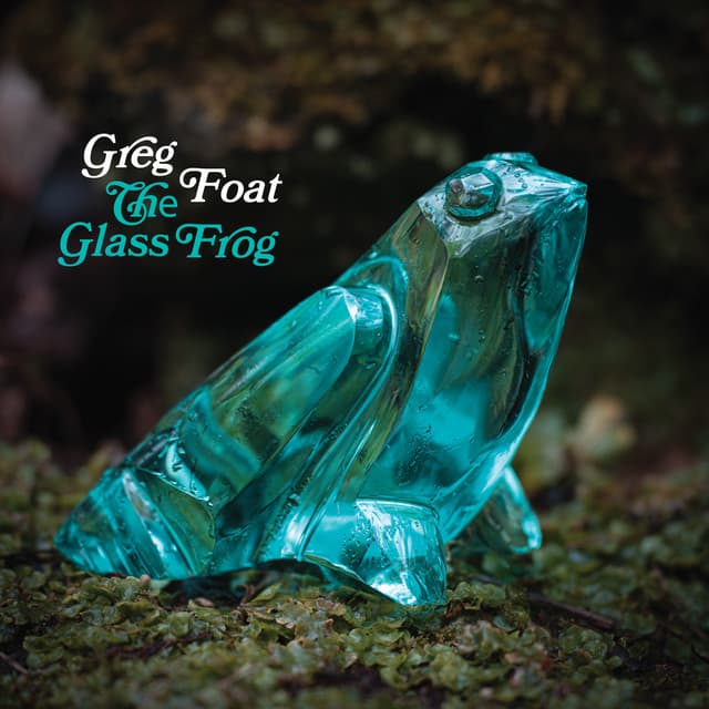 The Glass Frog - Greg Foat