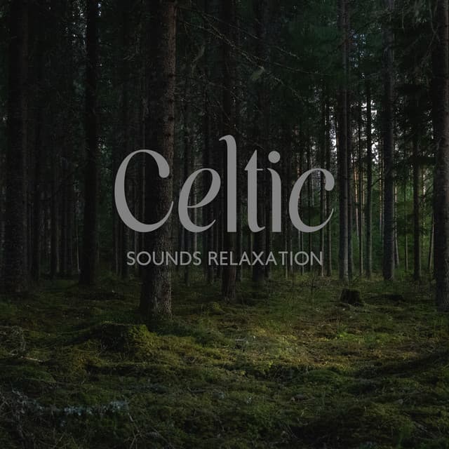 Celtic Sounds Relaxation - Serenity Music Zone