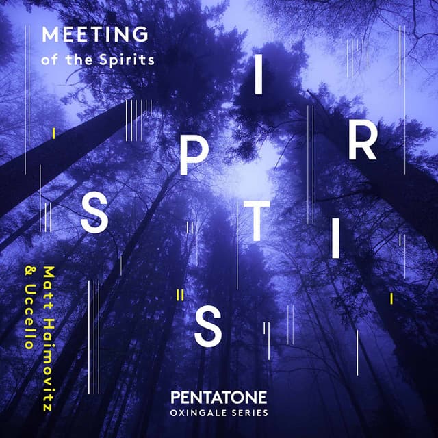 Meeting of the Spirits - Matt Haimovitz
