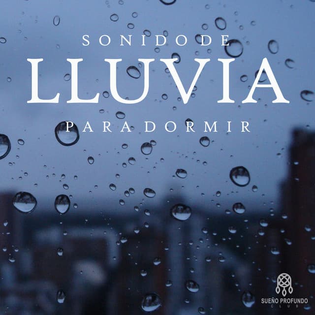 Lluvia Del Bosque