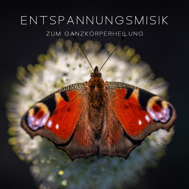 Entspannungsmusik zum Ganzkörperheilung: Naturgeräusche zum einschlafen, Schlaflosigkeit heilen, Gesünder Schlaf, Geführte Einschlafhilfe - Meditationsmusik Sammlung