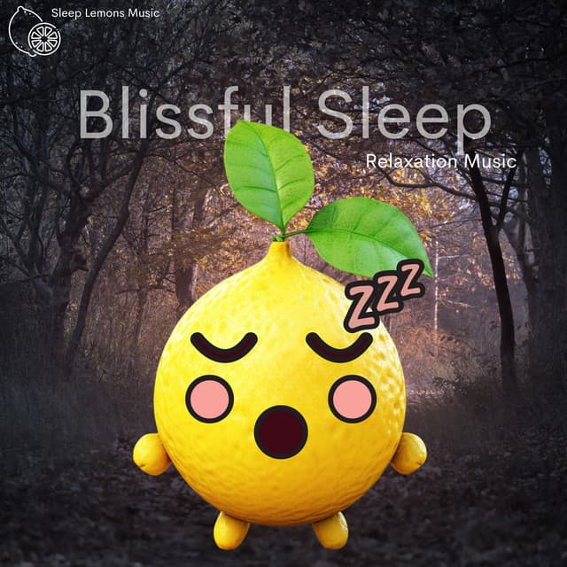 Blissful Sleep: Relaxation Music - Sleep Lemons Music