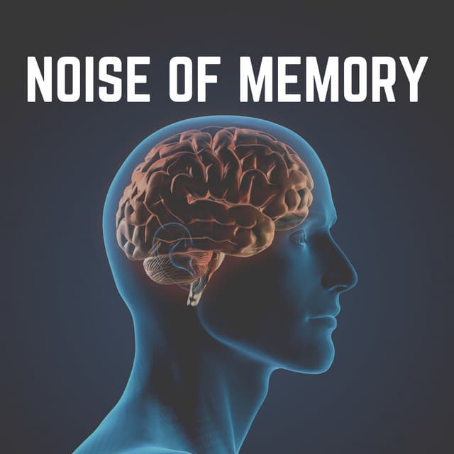 Noise of Memory - White Noise Baby Sleep
