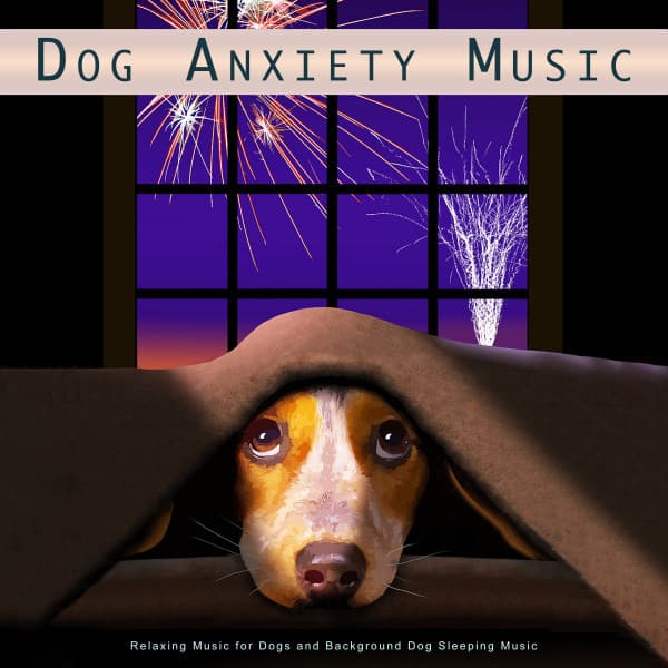 Dog Music Collective