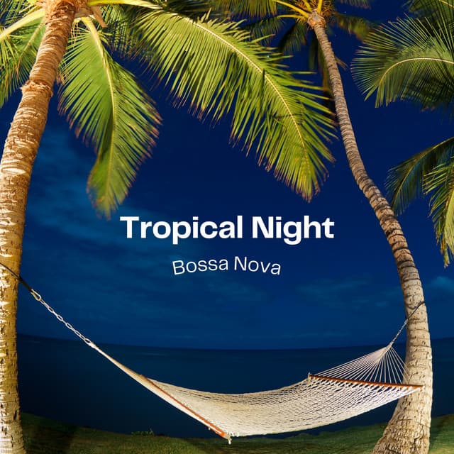 Tropical Night Bossa Nova - Jazz Bossa Nova