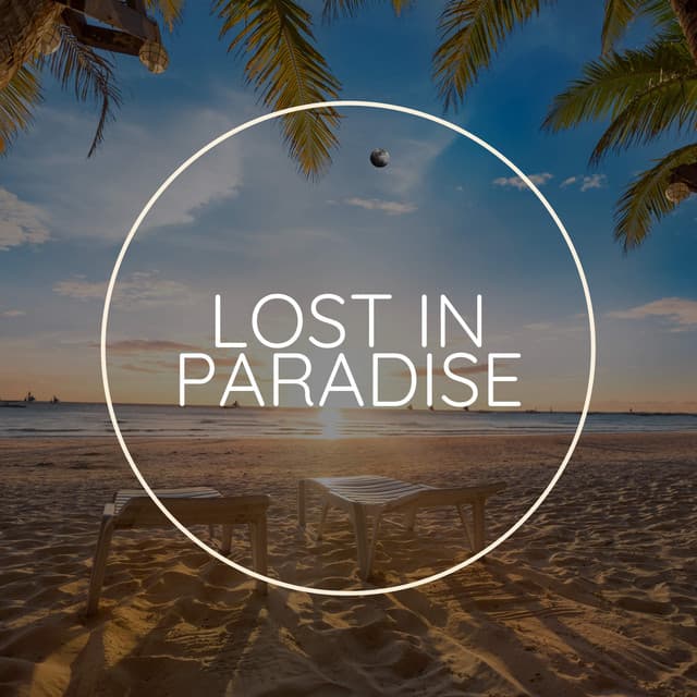 Lost in Paradise - Concentration Help