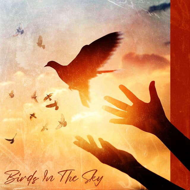 Birds In The Sky - Calm Animals Music