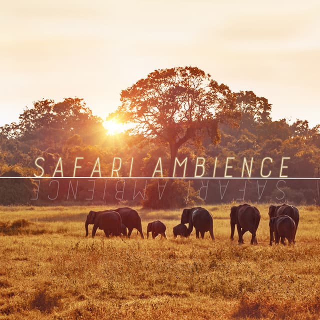 Safari Ambience: African Sounds, Tribal Drums, Safari Nature Sounds - African Wild World