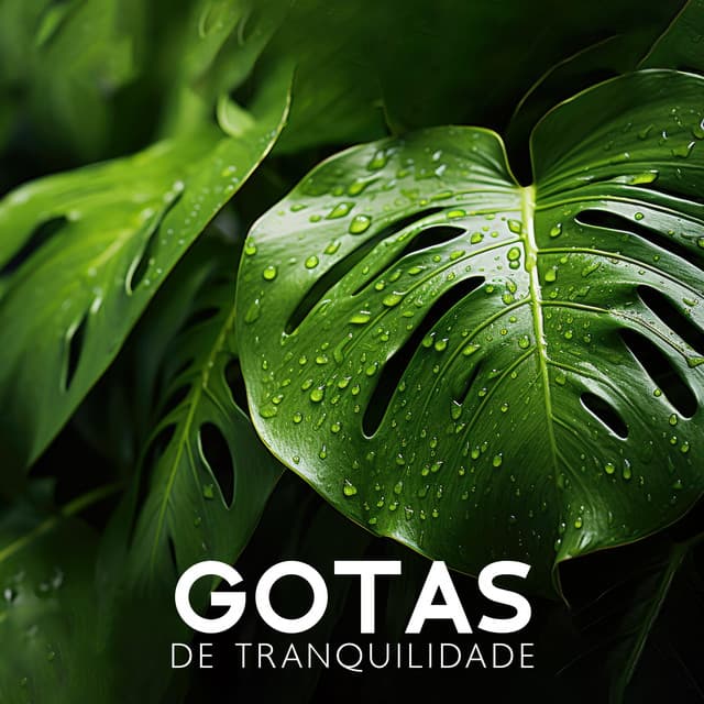 Gotas de Tranquilidade: Mãe Natureza Calma, Pássaros do Bosque, Canções Calmantes da Natureza - Natureza Musica Bem-Estar Academia