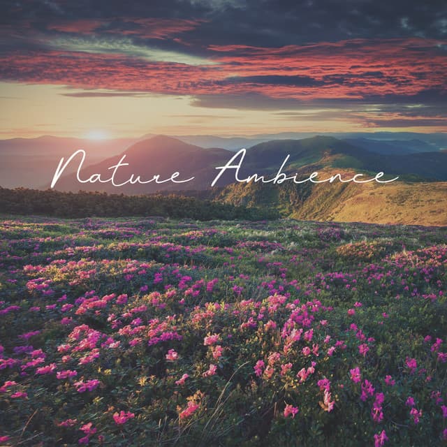 Nature Ambience: Sounds of World, Listen to Nature, Time for Rest, Clearing Mind - Relaxing Nature Sounds Collection