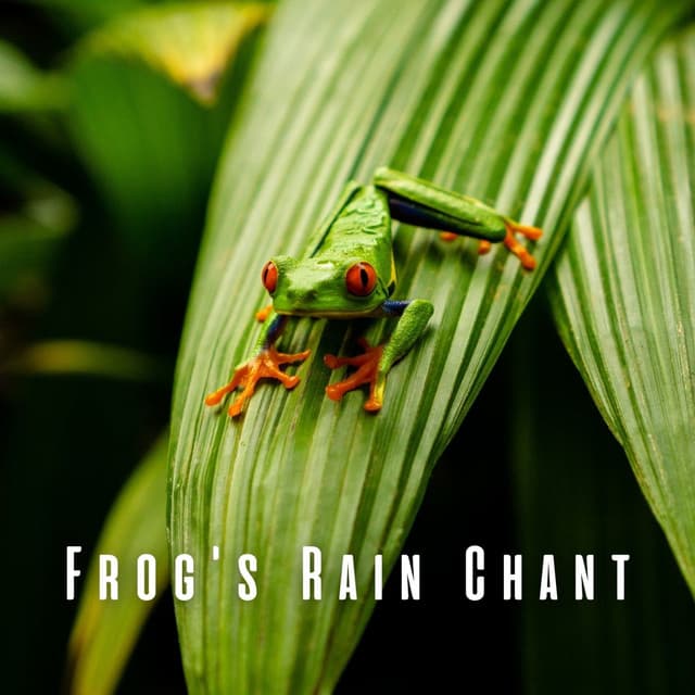 Frog's Rain Chant - Hypnosis Nature Sounds Universe