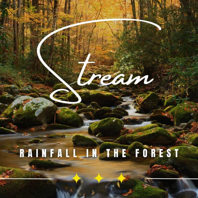 Rainy Retreat: Binaural Rain Soundscapes - Rainded
