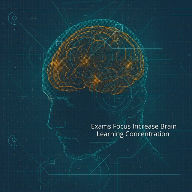 Exams Focus Increase Brain Learning Concentration - Hz Study Frequency