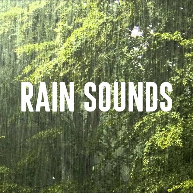 Rain Sounds - Sleep Rain