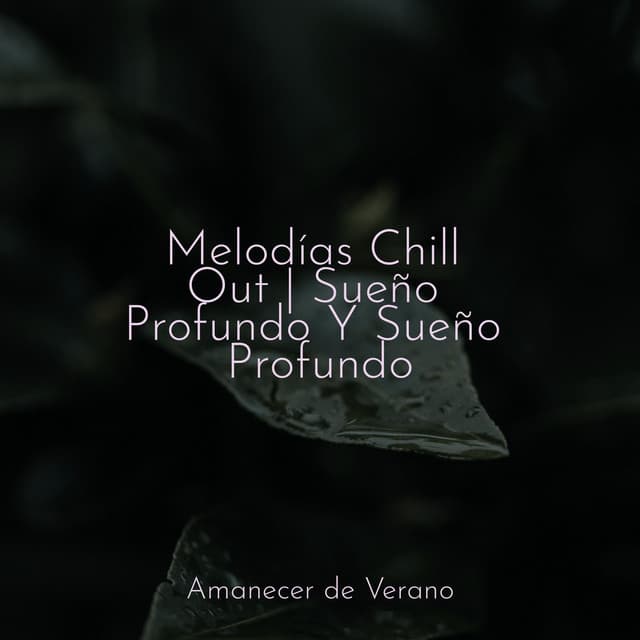 Melodías Chill Out | Sueño Profundo Y Sueño Profundo - Guided Meditation