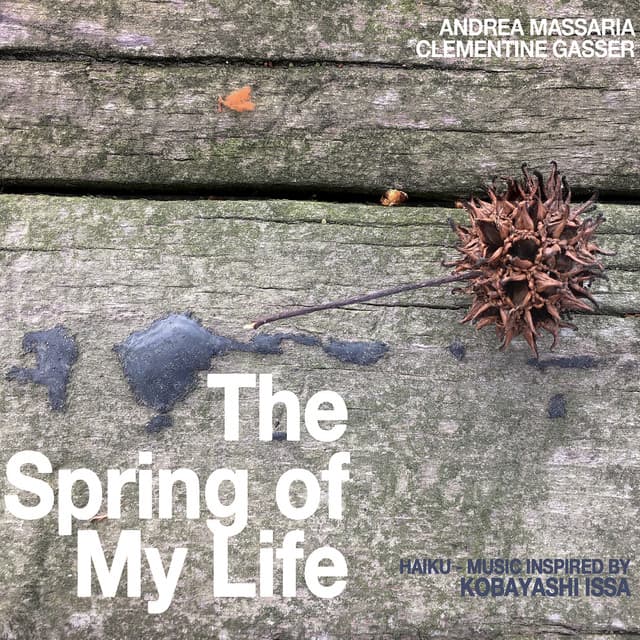 The Spring of My Life - Andrea Massaria