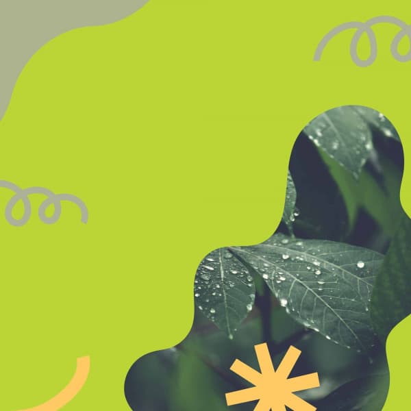 Happy Bgm for Private Respect - Sunday Morning Jazz